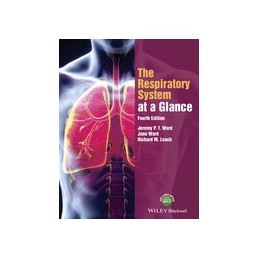The Respiratory System at a...