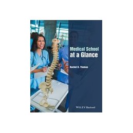 Medical School at a Glance