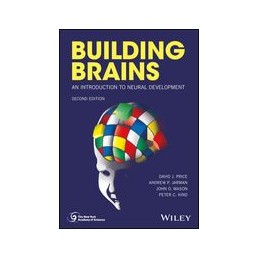 Building Brains: An...