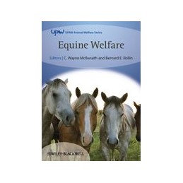 Equine Welfare