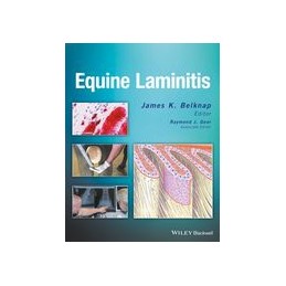 Equine Laminitis