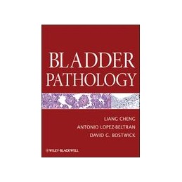 Bladder Pathology