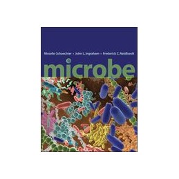 Microbe