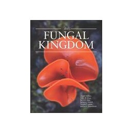 The Fungal Kingdom