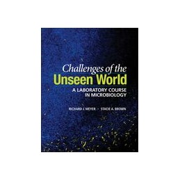 Challenges of the Unseen...