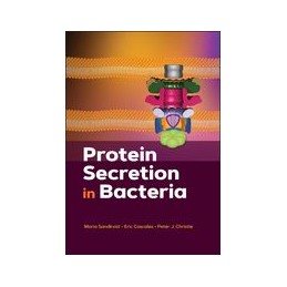 Protein Secretion in Bacteria