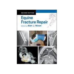 Equine Fracture Repair
