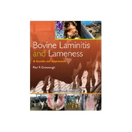 Bovine Laminitis and Lameness