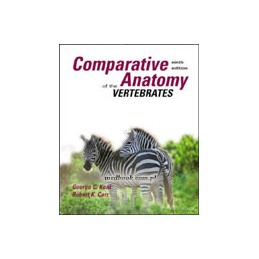 Comparative Anatomy of the...