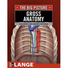 Gross Anatomy: The Big Picture