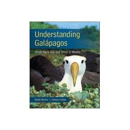 Understanding Galapagos