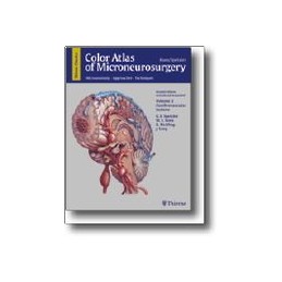 Color Atlas of Microneurosurgery, Volume 2: Cerebrovascular Lesions