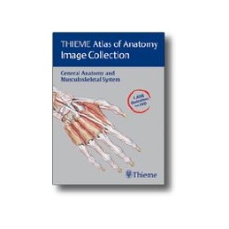 THIEME Atlas of Anatomy Image Collection--General Anatomy and Musculoskeletal System