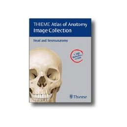 THIEME Atlas of Anatomy...