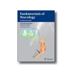 Fundamentals of Neurology