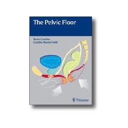 The Pelvic Floor