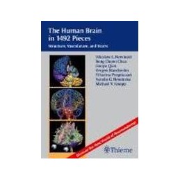 The Human Brain In 1969 Pieces: Structure, Vasculature, Tracts