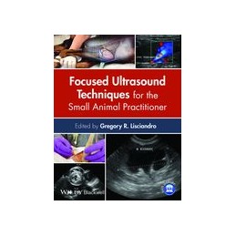 Focused Ultrasound...