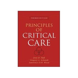 Principles of Critical...