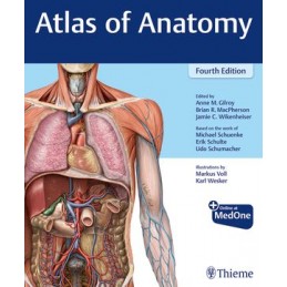 Gilroy Atlas of Anatomy...