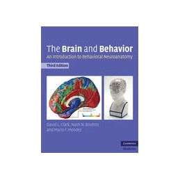 The Brain and Behavior: An...