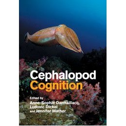 Cephalopod Cognition