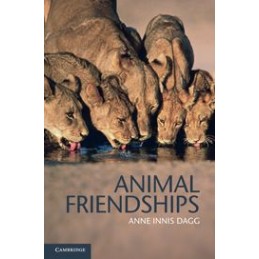 Animal Friendships