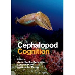 Cephalopod Cognition