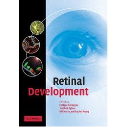 Retinal Development