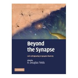 Beyond the Synapse:...