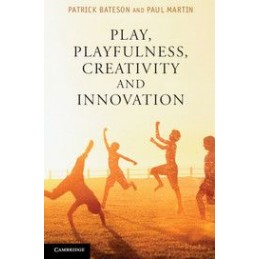 Play, Playfulness, Creativity and Innovation