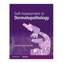 Self-Assessment in...