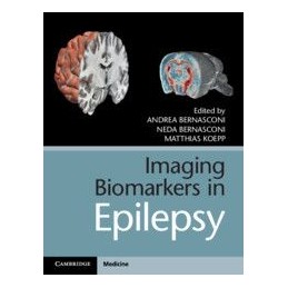 Imaging Biomarkers in Epilepsy