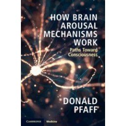 How Brain Arousal...