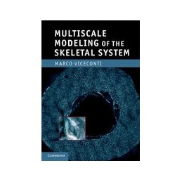 Multiscale Modeling of the...