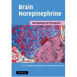 Brain Norepinephrine:...