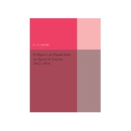 A Report on Researches on...