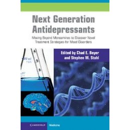 Next Generation Antidepressants: Moving Beyond Monoamines to Discover Novel Treatment Strategies for Mood Disorders