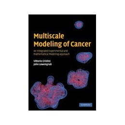 Multiscale Modeling of...