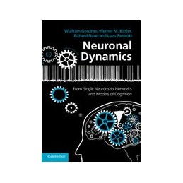 Neuronal Dynamics: From...