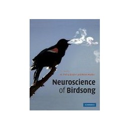 Neuroscience of Birdsong