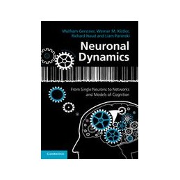 Neuronal Dynamics: From...