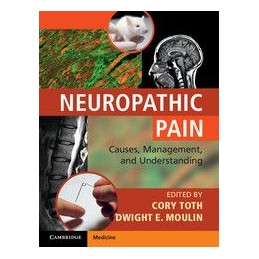 Neuropathic Pain: Causes,...