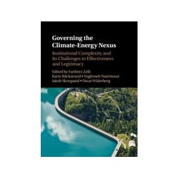 Governing the...