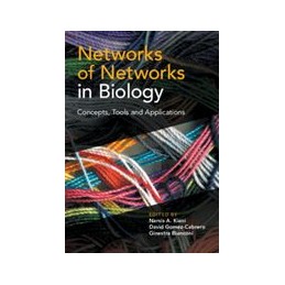 Networks of Networks in...
