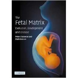 The Fetal Matrix:...