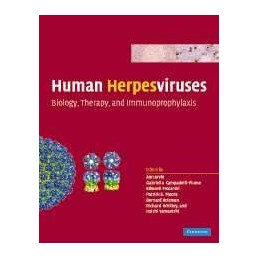 Human Herpesviruses: Biology, Therapy, and Immunoprophylaxis