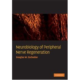 Neurobiology of Peripheral...