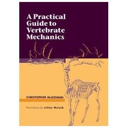 A Practical Guide to...