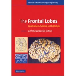 The Frontal Lobes:...